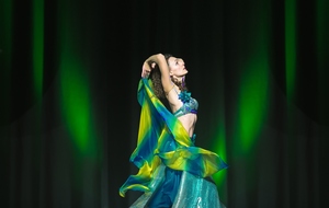 Logo von Rheiner Tanz bei Natasha Bastron