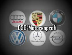 Logo von Dsg-Motorenprofi