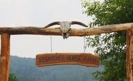 Logo von Absarokee Horse Farm