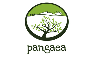 Logo von Pangaea Olivenöl aus Griechenland