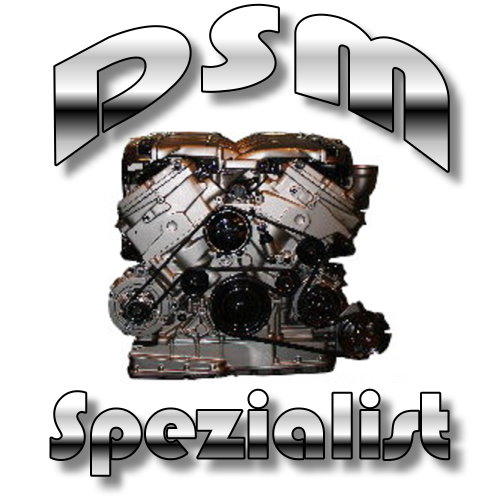 Logo von Dieselmotoren Spezialist