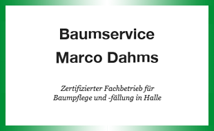 Logo von Baumdienst European Treeworker