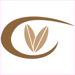 Logo von Surfganic Surfboards