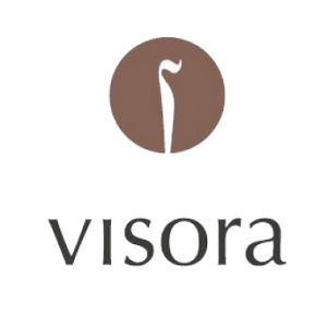 Logo von visora GmbH & Co. KG Versicherungsmakler