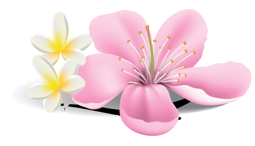 Logo von Nittaya Traditionelle Thai Massage