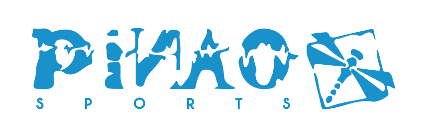 Logo von PiNAO GmbH