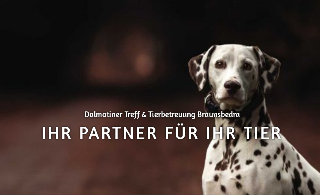 Logo von Dalmatiner Treff & Tierbetreuung Merseburg