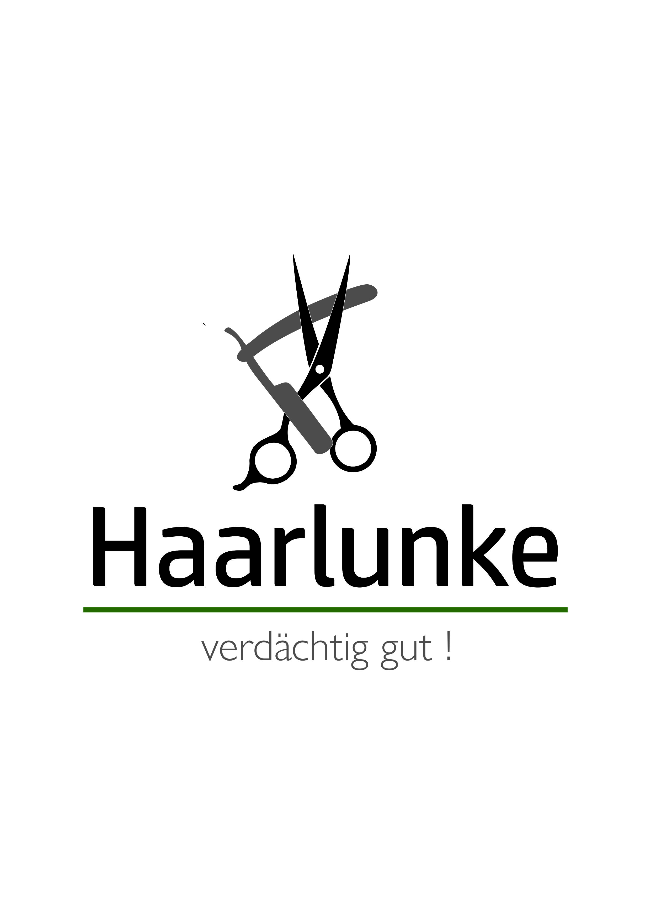 Logo von Friseur Haarlunke