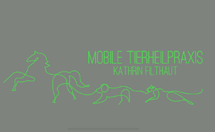 Logo von Mobile Tierheilpraxis Kathrin Filthaut