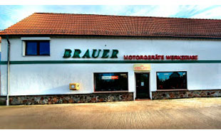 Logo von Brauer Ronald