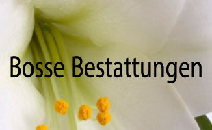 Logo von Bosse
