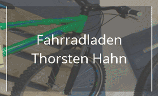 Logo von Hahn Thorsten