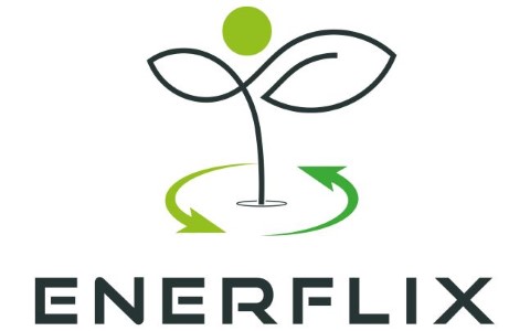 Logo von Enerflix Energie- und Unternehmensberatung Alexander Herding