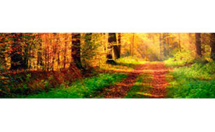 Logo von Heinze Bestattungen