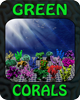 Logo von GREEN CORALS