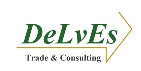 Logo von DeLvEs Trade & Consulting