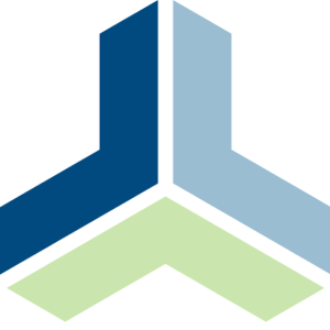 Logo von RiS Consulting
