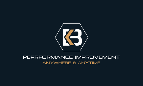 Logo von PERFORMANCE IMPROVEMENT