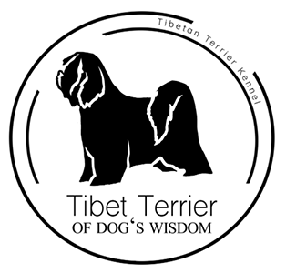 Logo von Tibet Terrier of Dogs Wisdom ~ Tibet Terrier Hobbyzucht seit 1997 ~ Peter Künzel