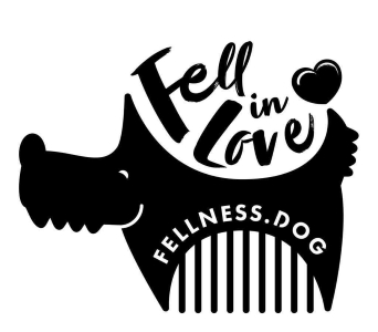 Logo von Fell in Love