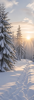 Logo von mge-winterdienstservice