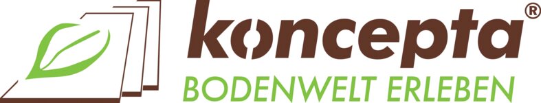 Logo von Koncepta GmbH Co. KG Laminat Parkett Paneele Laminatlagerverkauf