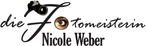 Logo von die Fotomeisterin Weber Nicole