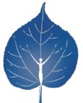Logo von Reinholz Linda