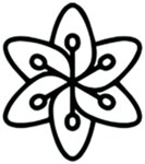 Logo von Schauer Victoria
