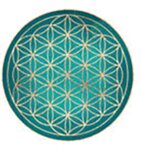 Logo von Heinke Michael Dr. med.