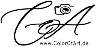 Logo von Color Of Art, Kunst & Fotografie