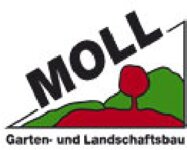 Logo von Moll Ralf
