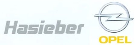 Logo von Autohaus Hasieber GmbH