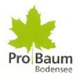Logo von Pro Baum Bodensee Marco Krause