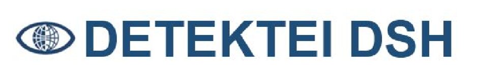 Logo von Detektei Detektiv-Team DSH