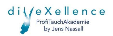 Logo von diveXellence - ProfiTauchAkademie