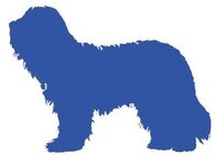 Logo von Hundefriseur Bodensee