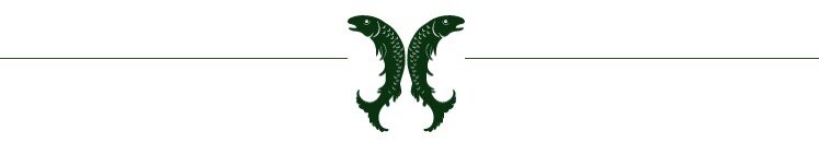 Logo von SALM-SALM & PARTNER GMBH