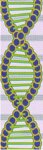 Logo von Gamboa Quilla N. Dr. Facharzt f. Allgemeinmedizin