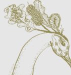 Logo von Art of Galom Shop