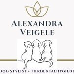 Logo von Hundesalon Alexandra Veigele Hundefriseurin + Wellness für Hunde