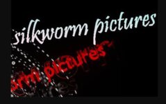Logo von Filmproduktion Silkworm Pictures