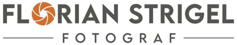 Logo von Strigel Florian