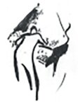 Logo von Bauer Raphael