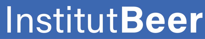 Logo von Institut Beer Umwelt- u. Hydrogeologie