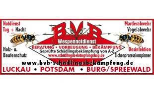 Logo von BVB - Schädlingsbekämpfung von A-Z Potsdam-Luckau-Burg(Spreewald) Holz- u. Bautenschutz Notdienst Tag & Nacht