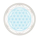 Logo von Kiechle Anne