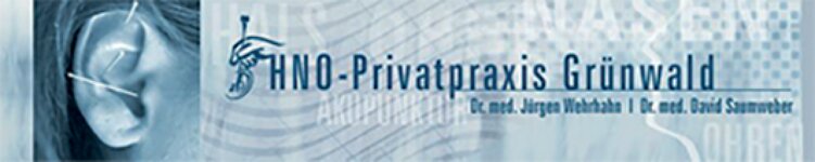Logo von HNO Privatpraxis Grünwald Dr. med. Jürgen Wehrhahn Dr. med. David Saumweber