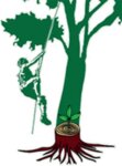 Logo von Baumpflege Veitengruber