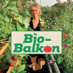 Logo von Rosca Adrian Florin